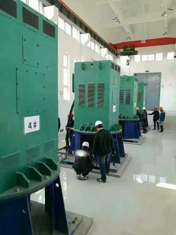 Y4501-6某污水处理厂使用我厂的立式高压电机安装现场