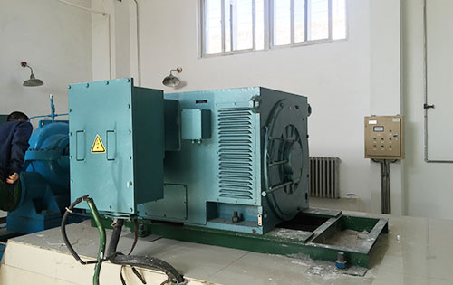Y4501-6某水电站工程主水泵使用我公司高压电机品质保证