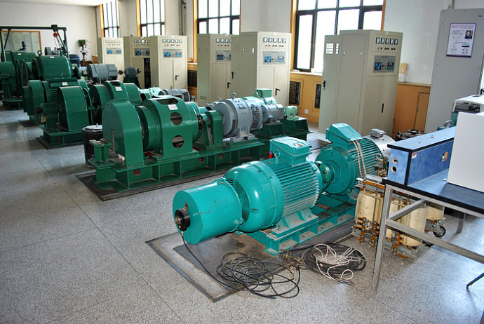 Y4501-6某热电厂使用我厂的YKK高压电机提供动力