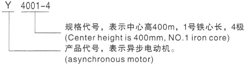 西安泰富西玛Y系列(H355-1000)高压Y4501-6三相异步电机型号说明