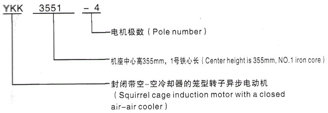 YKK系列(H355-1000)高压Y4501-6三相异步电机西安泰富西玛电机型号说明