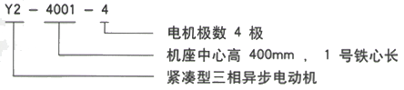 YR系列(H355-1000)高压Y4501-6三相异步电机西安西玛电机型号说明